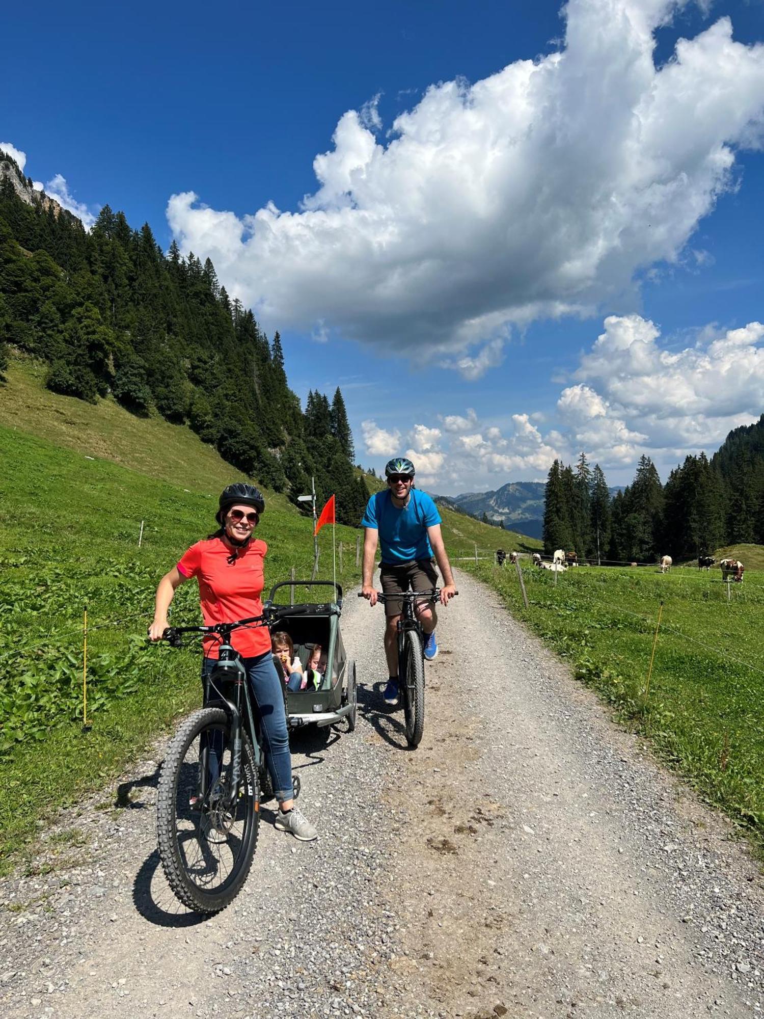 Alpen Hotel Post Au (Vorarlberg) المظهر الخارجي الصورة